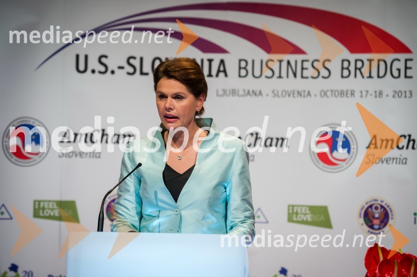 Alenka Bratušek, Predsednica Vlade Republike SlovenijeU.S. – Slovenia Business Bridge, razvojna in investicijska konferenca, prvi dan