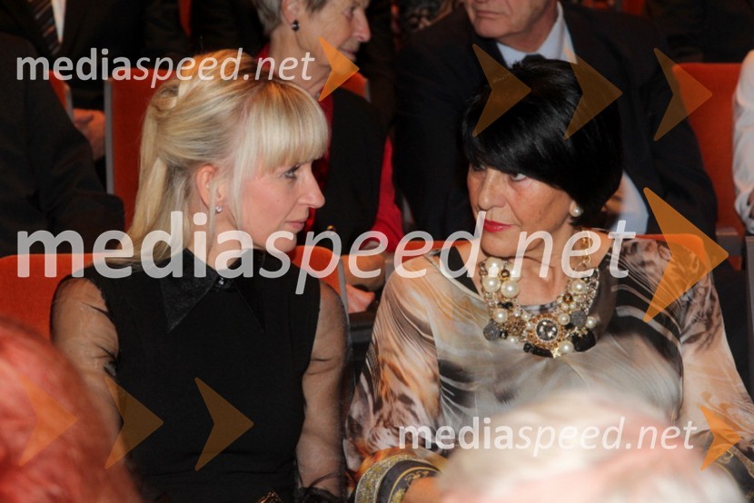 48. Borštnikovo srečanje 2013, otvoritev festivala