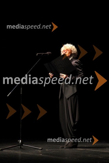 Alja Predan, umetniška direktorica Festivala Borštnikovo srečanje48. Borštnikovo srečanje 2013, otvoritev festivala