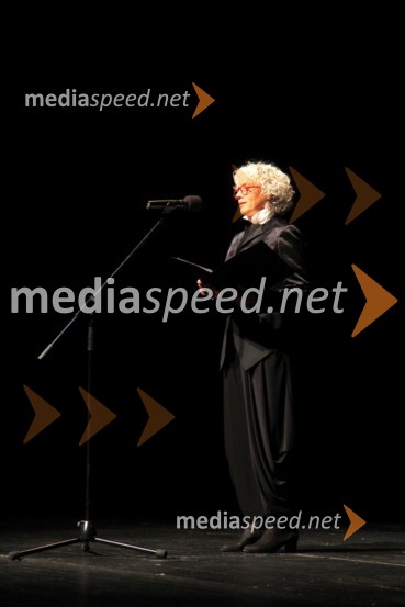 Alja Predan, umetniška direktorica Festivala Borštnikovo srečanje48. Borštnikovo srečanje 2013, otvoritev festivala