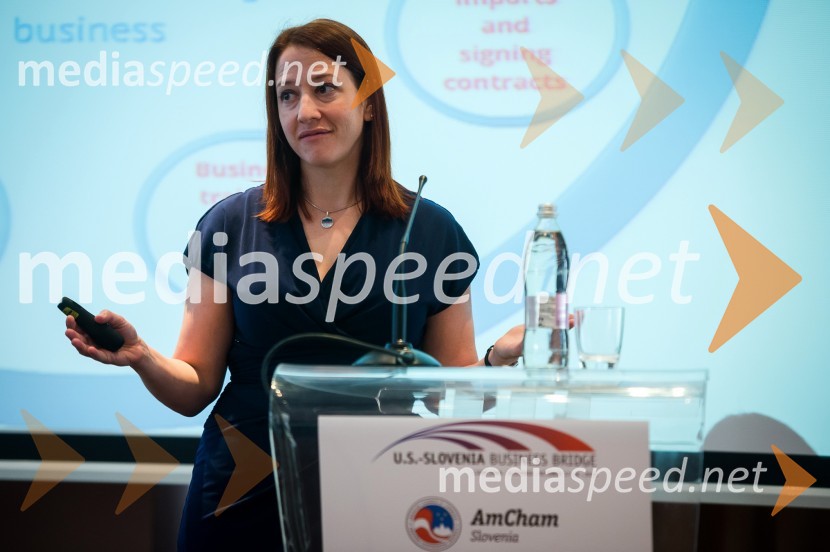U.S. – Slovenia Business Bridge, razvojna in investicijska konferenca, drugi dan