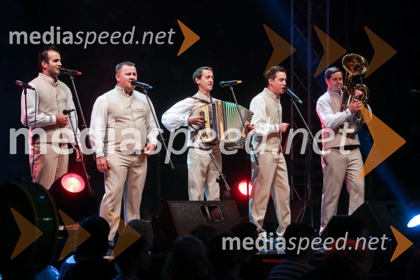 Poskočni muzikantjeNoč Modrijanov 2013