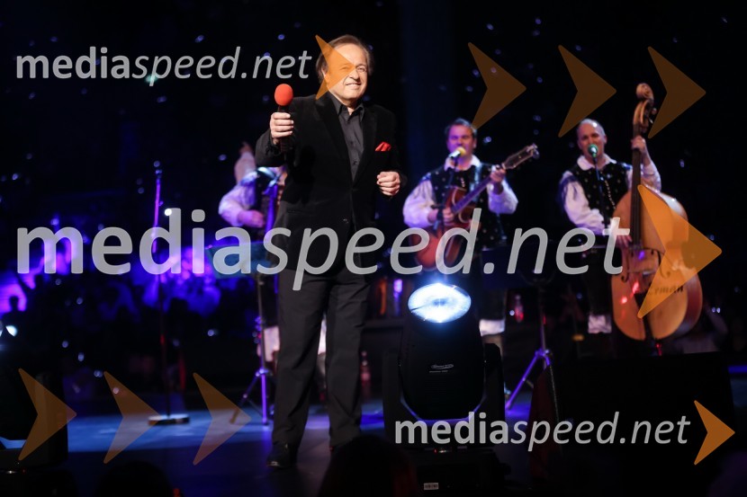 Alfi Nipič, pevecNoč Modrijanov 2013
