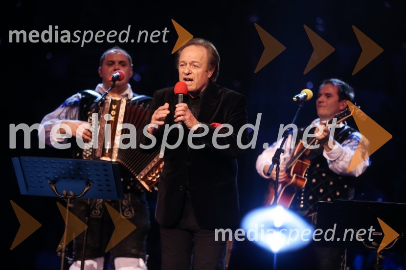 Alfi Nipič, pevecNoč Modrijanov 2013