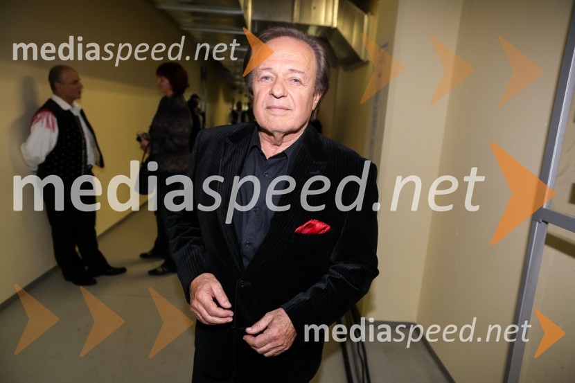 Alfi Nipič, pevecNoč Modrijanov 2013