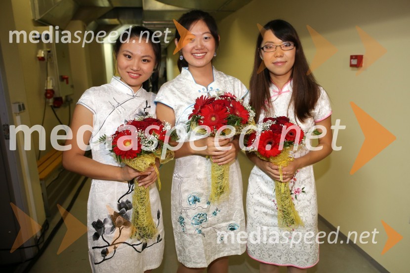Cun Guo;&nbsp;Yuli Sun;&nbsp;Yu ChenNoč Modrijanov 2013