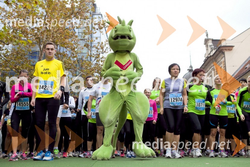 Tekači18. Ljubljanski maraton 2013