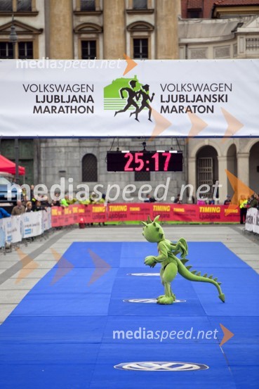18. Ljubljanski maraton 2013