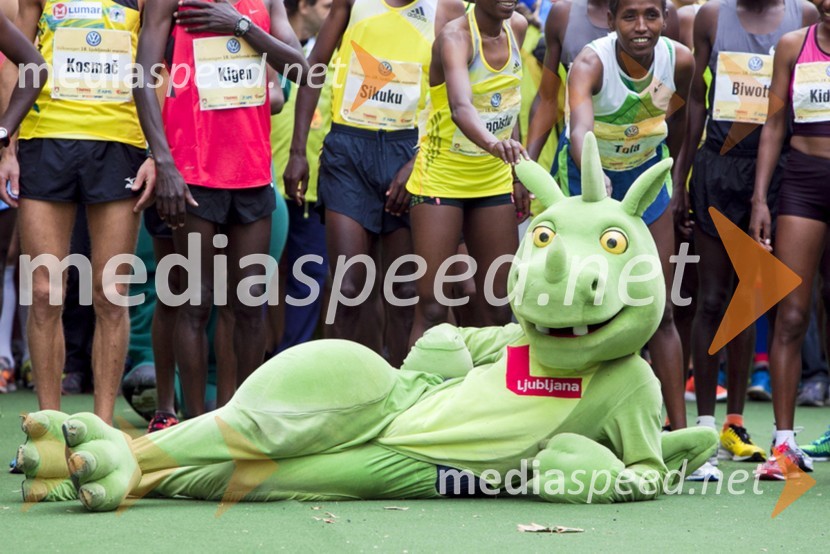 18. Ljubljanski maraton 2013