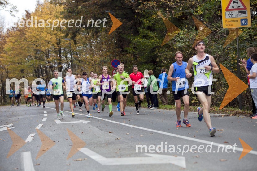 Tekači18. Ljubljanski maraton 2013