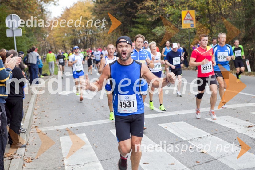 18. Ljubljanski maraton 2013