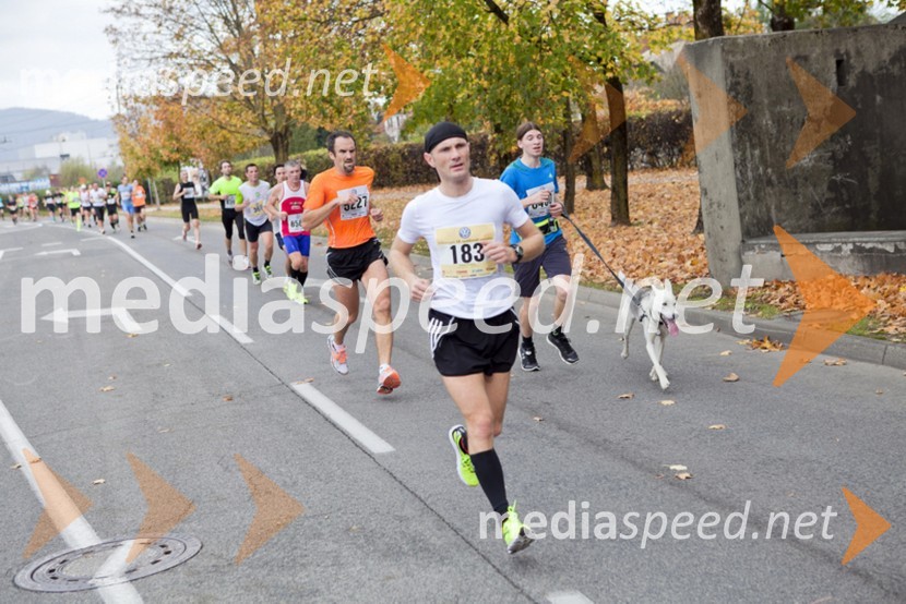 Tekači18. Ljubljanski maraton 2013