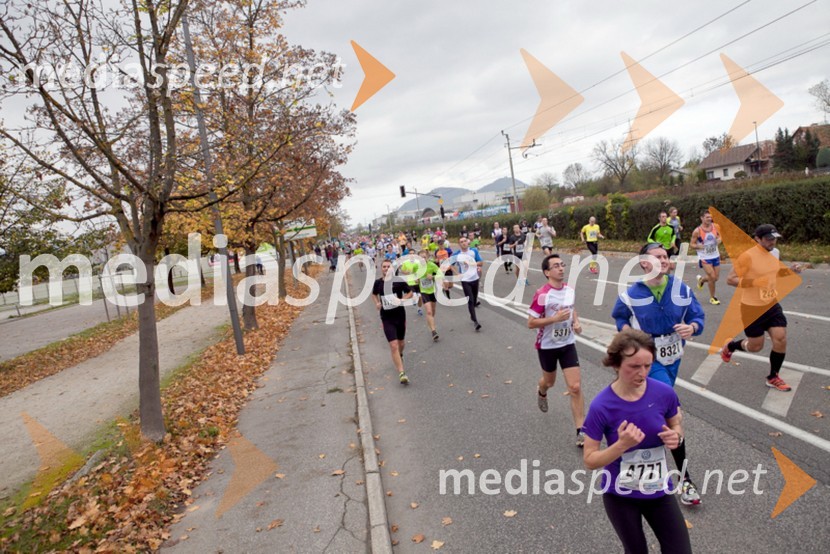 Tekači18. Ljubljanski maraton 2013