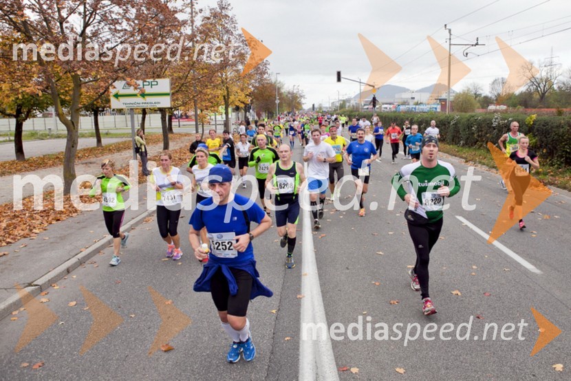 Tekači18. Ljubljanski maraton 2013