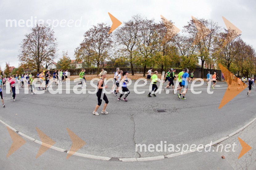Tekači18. Ljubljanski maraton 2013