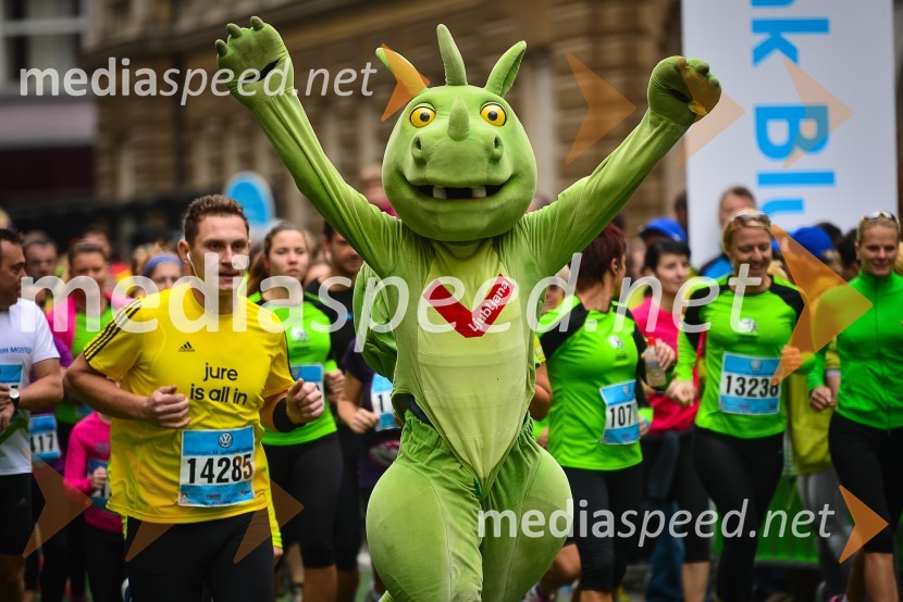 18. Ljubljanski maraton 2013