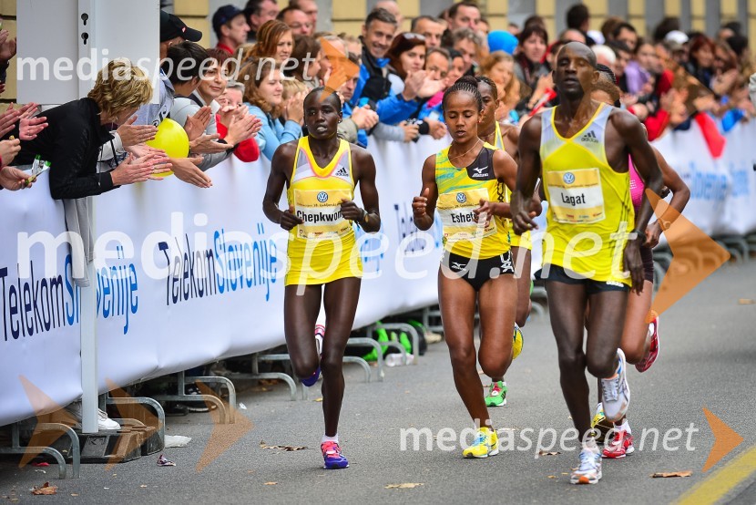 18. Ljubljanski maraton 2013
