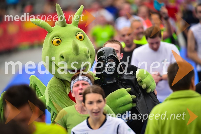 18. Ljubljanski maraton 2013