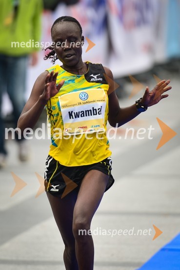 18. Ljubljanski maraton 2013