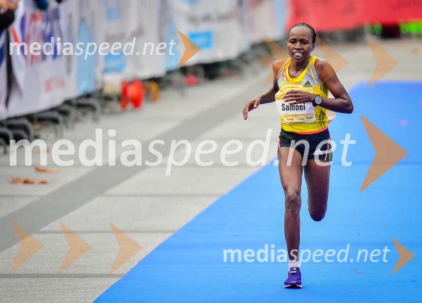 18. Ljubljanski maraton 2013
