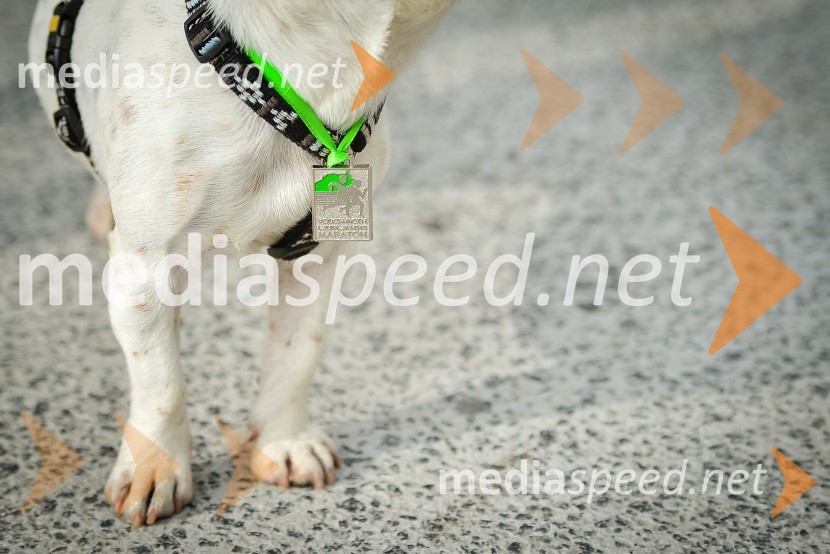 18. Ljubljanski maraton 2013