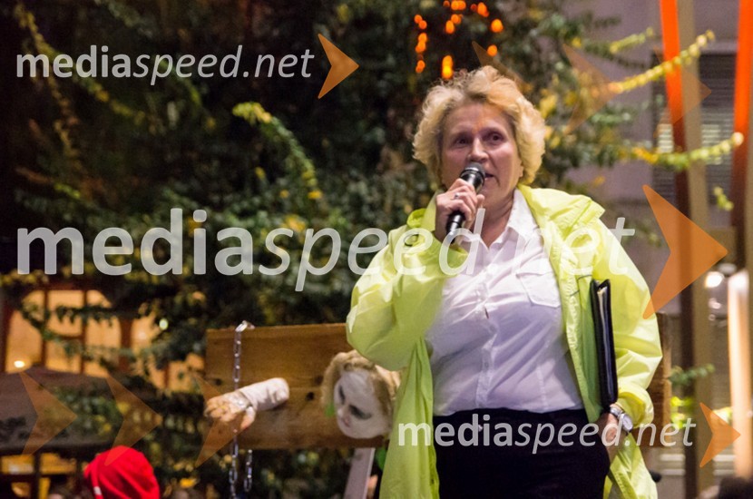 Monika Piberl, Glas ženskProtesti proti vladi v Mariboru
