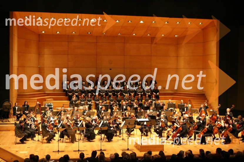 Glasbeniki orkestra SNG Opera in balet Ljubljana in operni zbor SNG Opera in balet LjubljanaOpera Samson in Dalila