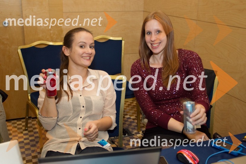 Slovenska konferenca za odnose z javnostmi, 17. SKOJ 2013, 2. dan