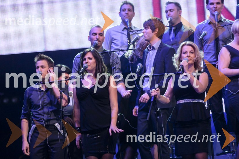 Perpetuum JazzilePerpetuum Jazzile, The show