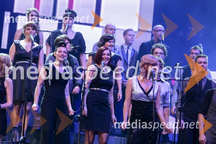 Perpetuum JazzilePerpetuum Jazzile, The show