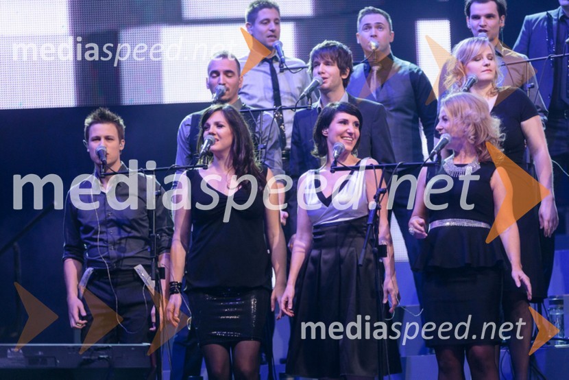 Perpetuum JazzilePerpetuum Jazzile, The show
