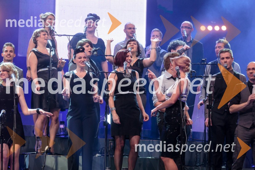 Perpetuum JazzilePerpetuum Jazzile, The show