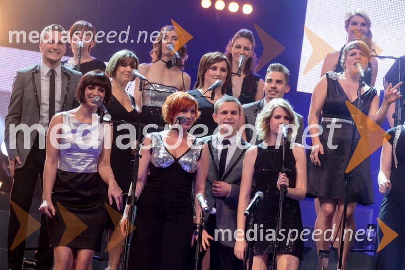 Perpetuum JazzilePerpetuum Jazzile, The show