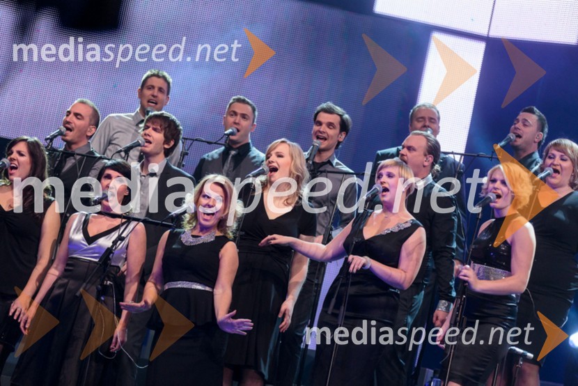 Perpetuum JazzilePerpetuum Jazzile, The show