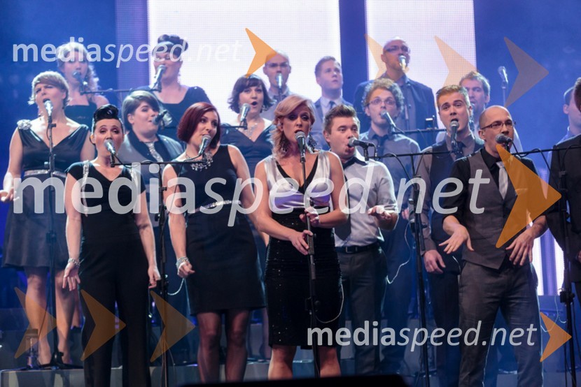 Perpetuum JazzilePerpetuum Jazzile, The show