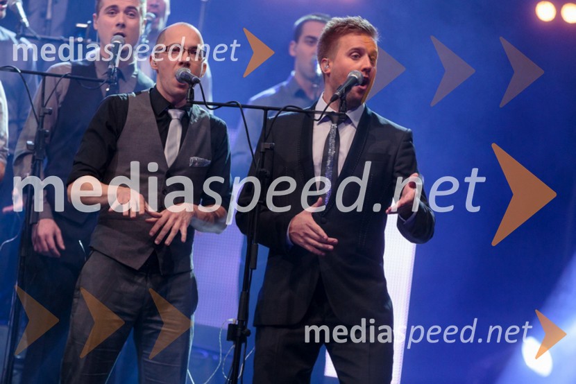 Perpetuum JazzilePerpetuum Jazzile, The show