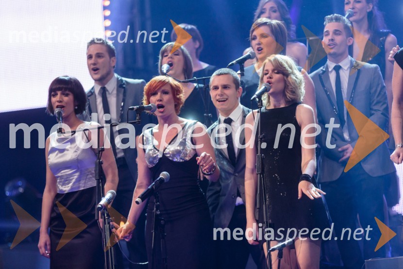 Perpetuum JazzilePerpetuum Jazzile, The show
