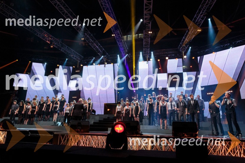 Perpetuum JazzilePerpetuum Jazzile, The show