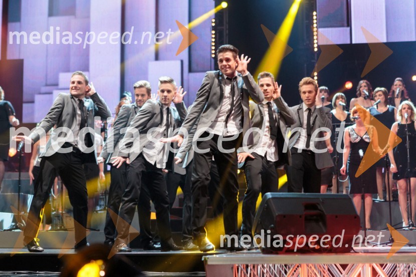 MaestroPerpetuum Jazzile, The show