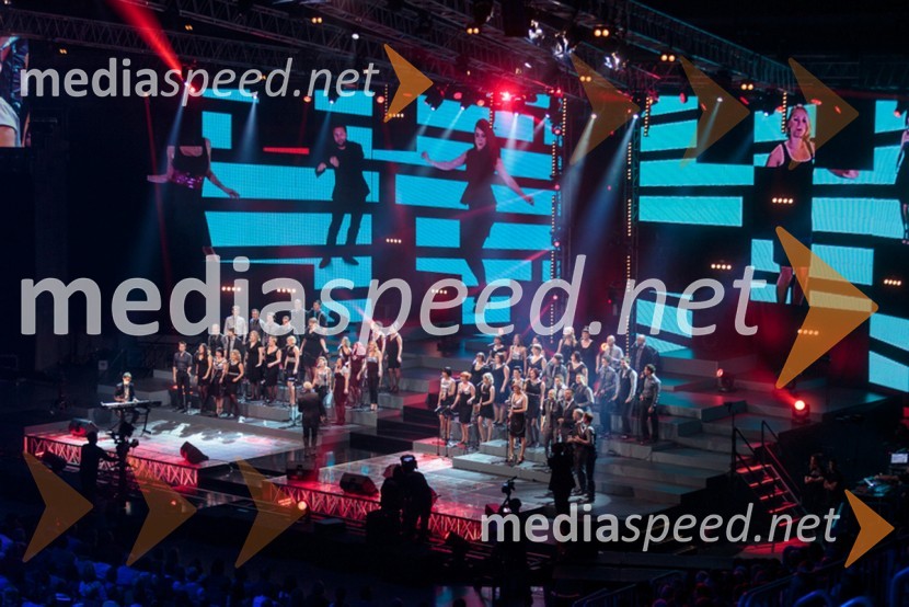 Koncert skupine Perpetuum JazzilePerpetuum Jazzile, The show