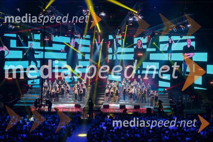 Koncert skupine Perpetuum JazzilePerpetuum Jazzile, The show