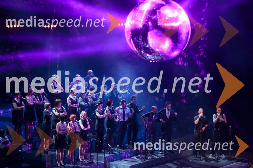 Perpetuum JazzilePerpetuum Jazzile, The show