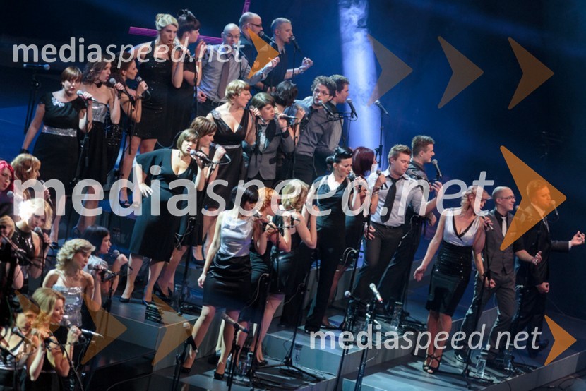 Perpetuum JazzilePerpetuum Jazzile, The show