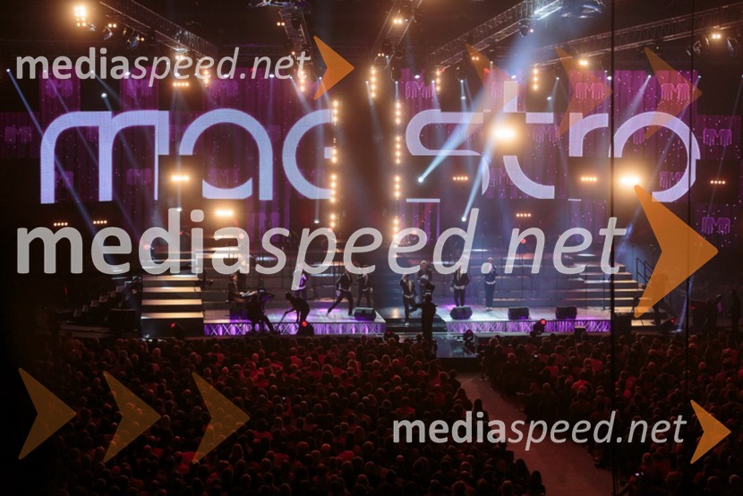 Nastop plesne skupine MaestroPerpetuum Jazzile, The show