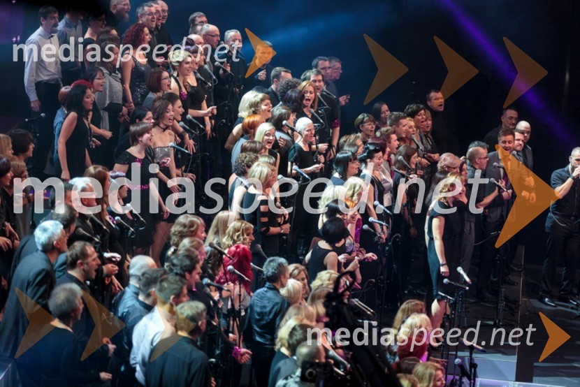 Perpetuum JazzilePerpetuum Jazzile, The show