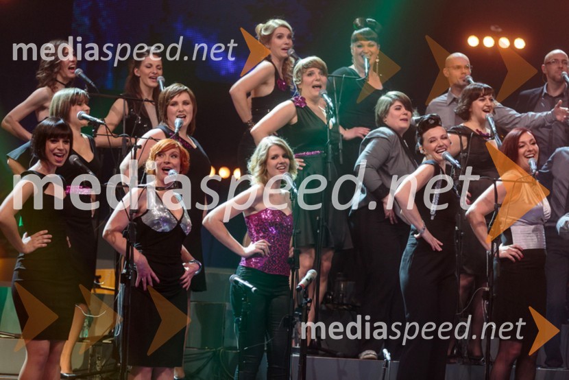 Perpetuum JazzilePerpetuum Jazzile, The show