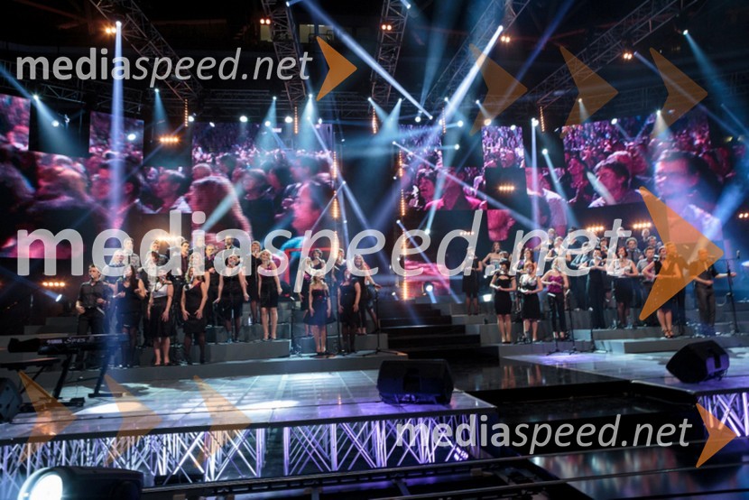 Perpetuum JazzilePerpetuum Jazzile, The show