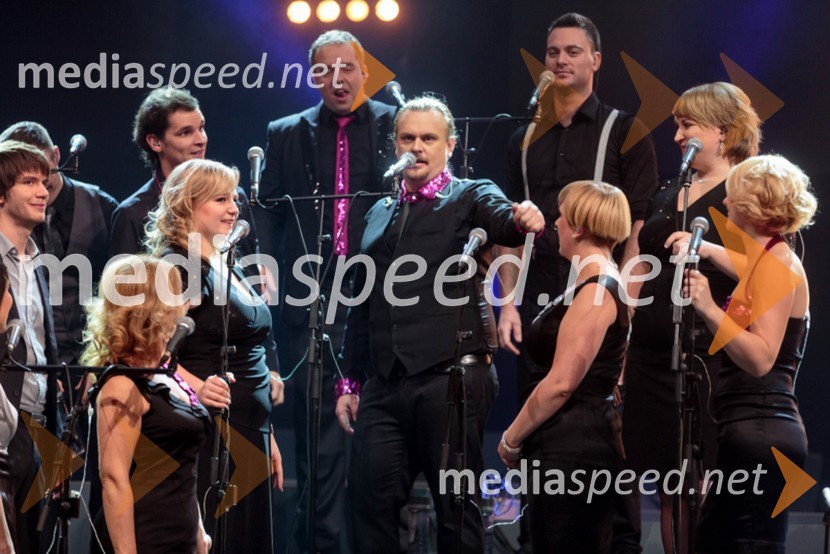 Član skupine Perpetuum JazzilePerpetuum Jazzile, The show