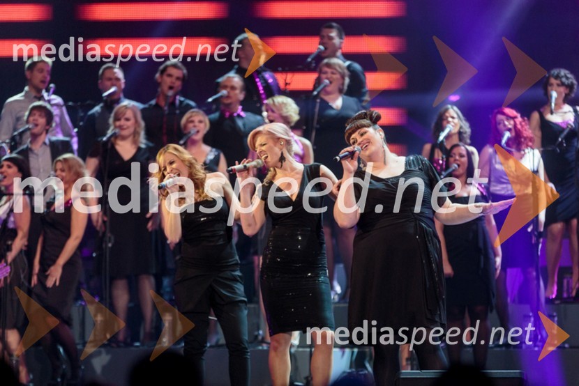 Članice skupine Perpetuum JazzilePerpetuum Jazzile, The show