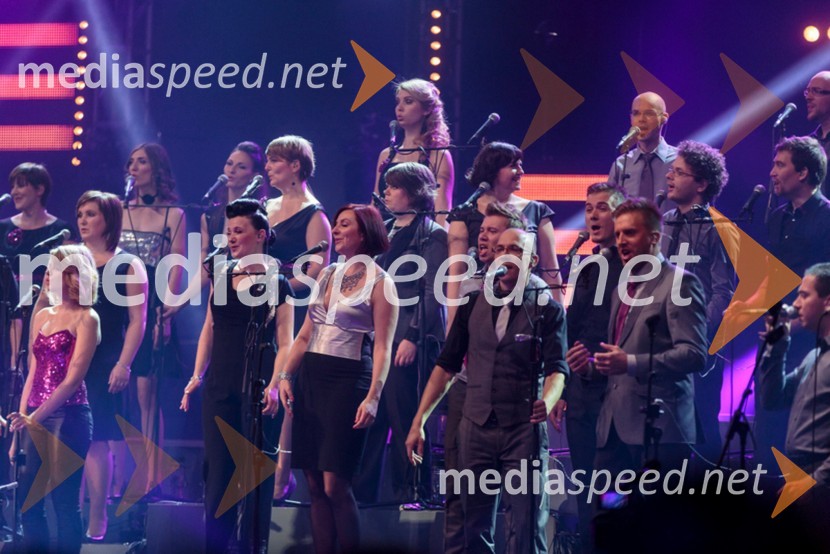 Perpetuum JazzilePerpetuum Jazzile, The show